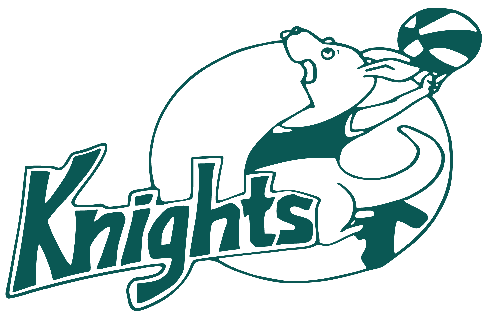 Knights Basketball, Sydney